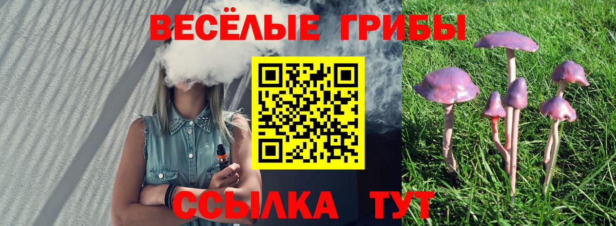 Псилоцибиновые грибы мицелий  Галлюциногенные грибы Psilocybine cubensis  Вход с VPN  Батайск 