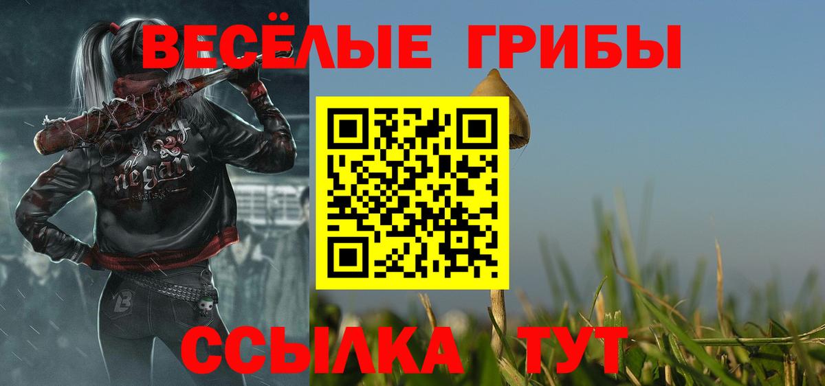 Галлюциногенные грибы Cubensis Батайск